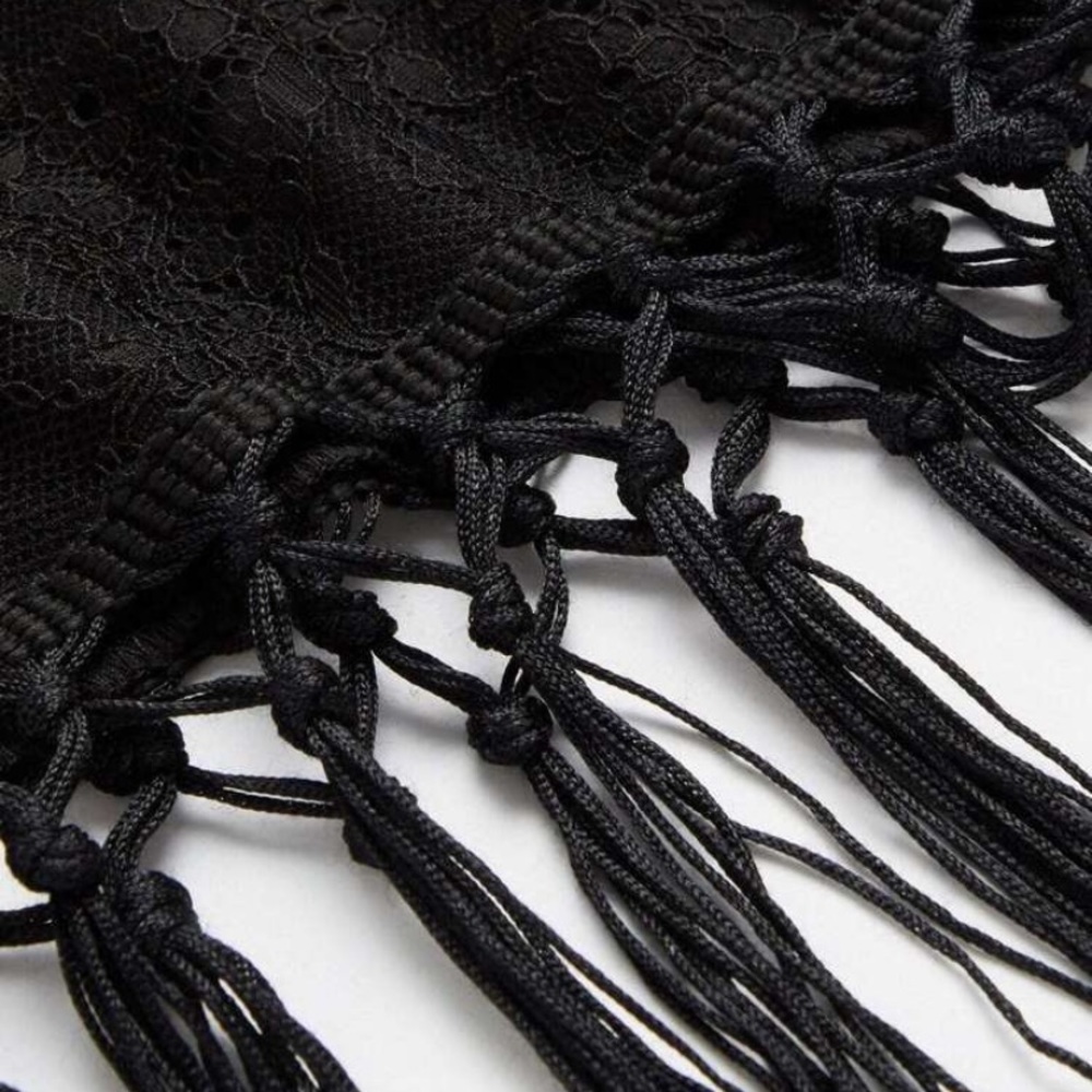 New Fringe Embellished Zip Back Lace Dress - Picture 2 of 5